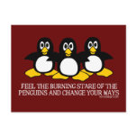 Feel The Burning Stare Of The Penguins Post Card