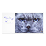 Feeling blue... picture card