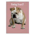 Feeling Down? Greeting Cards