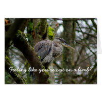Feeling like you're out on a limb? greeting card