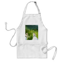 Feet First Apron