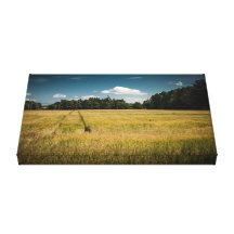 Feild Of Dreams Canvas Prints