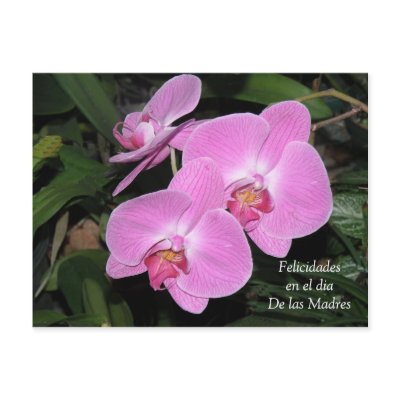 Felicidades dia de las Madres Post Card by Soniel