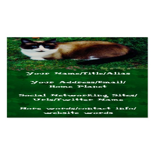 Feline Beauty Business Cards