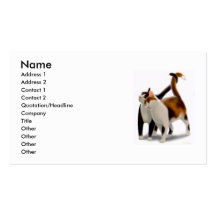 Feline Friends Profile Card Business Card