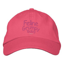 Feline Grumpy Today Embroidered Hat