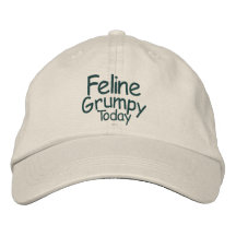 Feline Grumpy Today Embroidered Hats