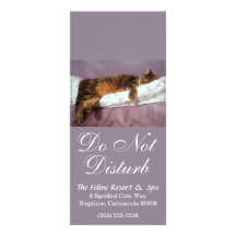 Feline Resort Do Not Disturb Custom Rack Cards