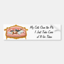 Feline Royalty Bumper Sticker