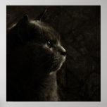 Feline silhouette posters