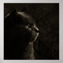 Feline silhouette posters