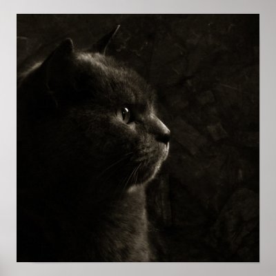 Feline silhouette posters by LAURAMELIS