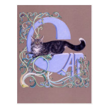Felis Illumines Post Card