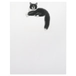 Felix Cat Just Hanging Around Letterhead
