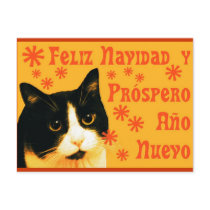 Felix Navidad