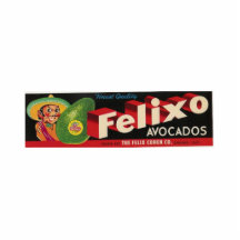 felixo avocados photo sculpture magnet