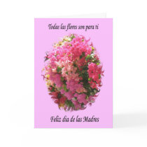 Feliz Dia de las Madres Card