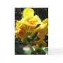 feliz dia de las madres greeting card