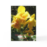 Feliz dia de las madres Hermana Greeting Cards
