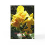 Feliz dia de las madres Hermana Greeting Cards