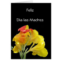 Feliz Dia las Madres Cards