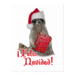 Feliz Navidad - Christmas Raccoon Bandit Post Card