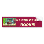 Female Bettas Rock!!! Bumper Sticker