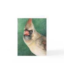 Female Cardinal Art Note Card