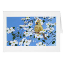 Female Cardinal in the Dogwoods