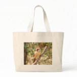 Female Cardinal on Branch Bag