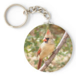 Female Cardinal on Branch Key Chain