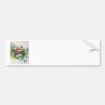 Female Cardinal Redbird in Nest Bumper Stickers
