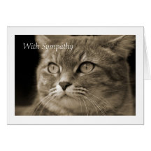 Female Cat Sympathy Card