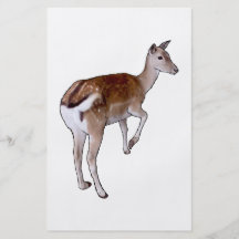 Female Deer. Flyers