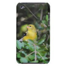 Female Goldfinch Barely There iPod Cover