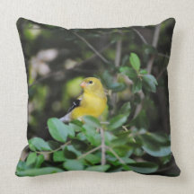 Female Goldfinch Throw Pillow