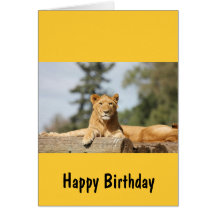 Female Lion Greeting Card