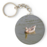 Female Mallard Duck 3 Key Chain