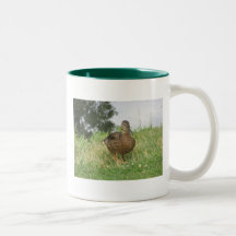 Female Mallard Duck Mug