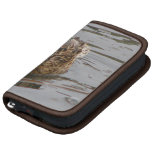 Female Mallard Organizers