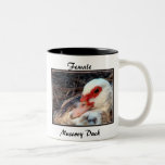 Female Muscovy Duck Coffee Mugs