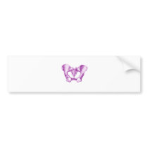 Female Pelvis Purple Bumper Sticker