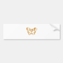 Female Pelvis Sepia Bumper Stickers