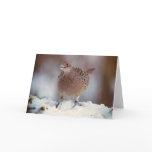 Female Pheasant - card