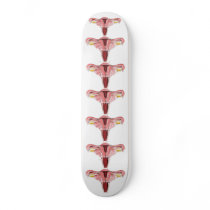 Female Reproductive System Sk8 board Skate Deck