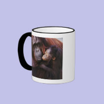 Female Sumatran Orangutan with baby, Pongo mugs