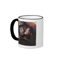 Female Sumatran Orangutan with baby, Pongo Coffee Mugs