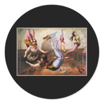 Female trapeze acrobats at circus sticker