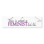 Feminist Looks Like Bumper Stickers