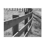 Fence Line Postcard